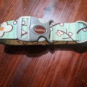 Large Collar and leash set